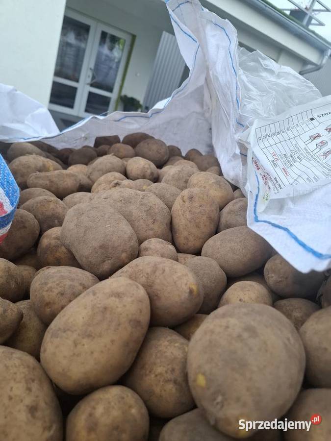 Ziemniaki soraya łódzkie