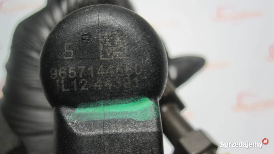 FORD CITROEN PEUGEOT VOLVO 20 TDCI HDI świętokrzyskie Kielce