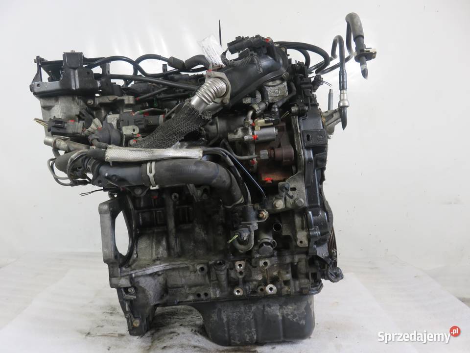 SILNIK FORD FOCUS MK3 III 16 TDCi T1DB 115 osobowe