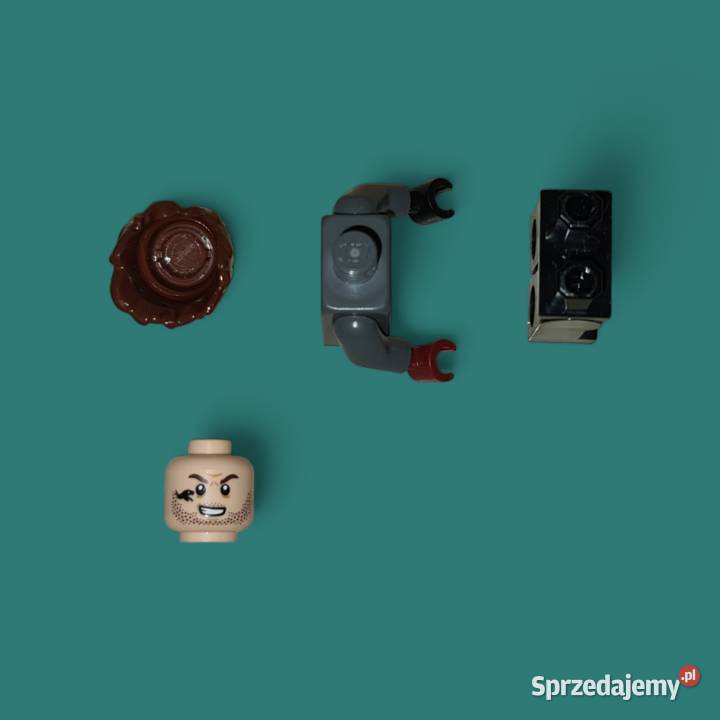 Lego Jurassic World Rainn JW077 Warszawa