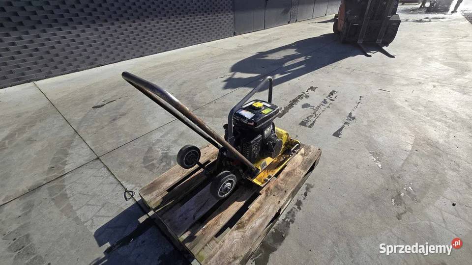 Zagęszczarka Wacker VP1340R Bomag Weber Ammann dolnośląskie Dunkowa