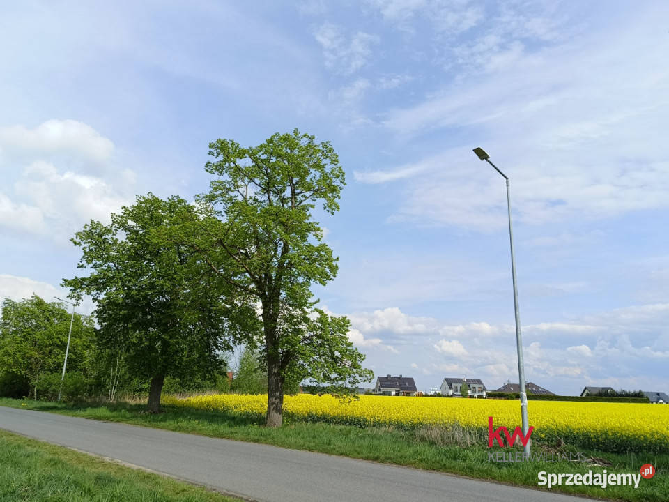 Działka 960m2 Mrowino Tarnowska