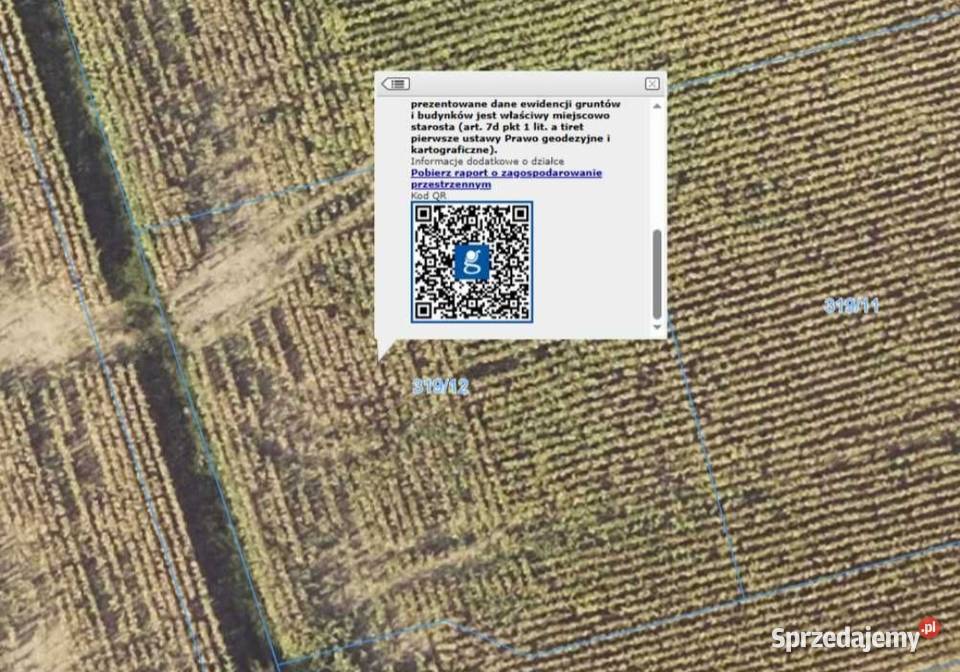 działki budowlane BRZÓSTKÓW PARUCHÓW LUDWINÓW 50m wielkopolskie Brzóstków sprzedam