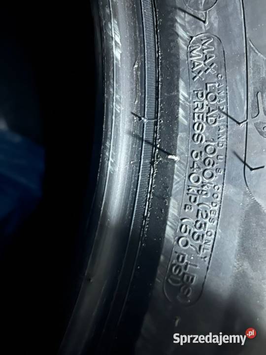 Opony Zimowe MICHELIN Pilot Alpin 5 SUV 25555 20cale Gaj