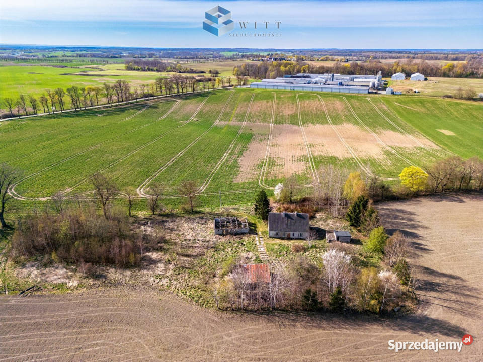 sprzedaży działki Leszczynka Mała 5000m2 32m