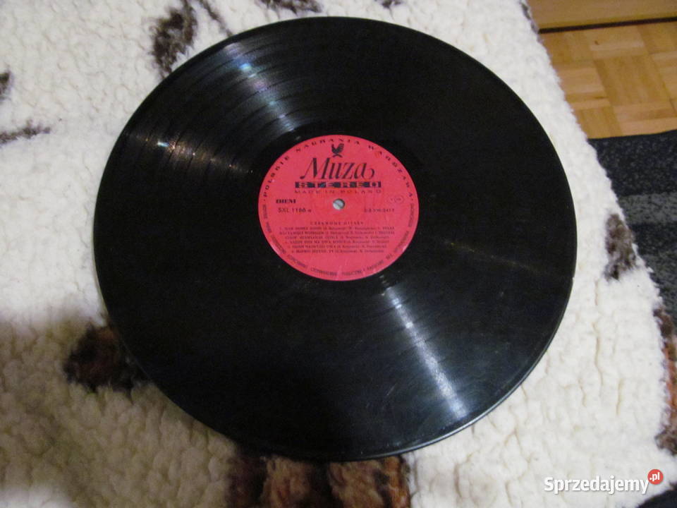 Czerwone Gitary Rytm ziemi Mam dzień płyta winyl Lublin