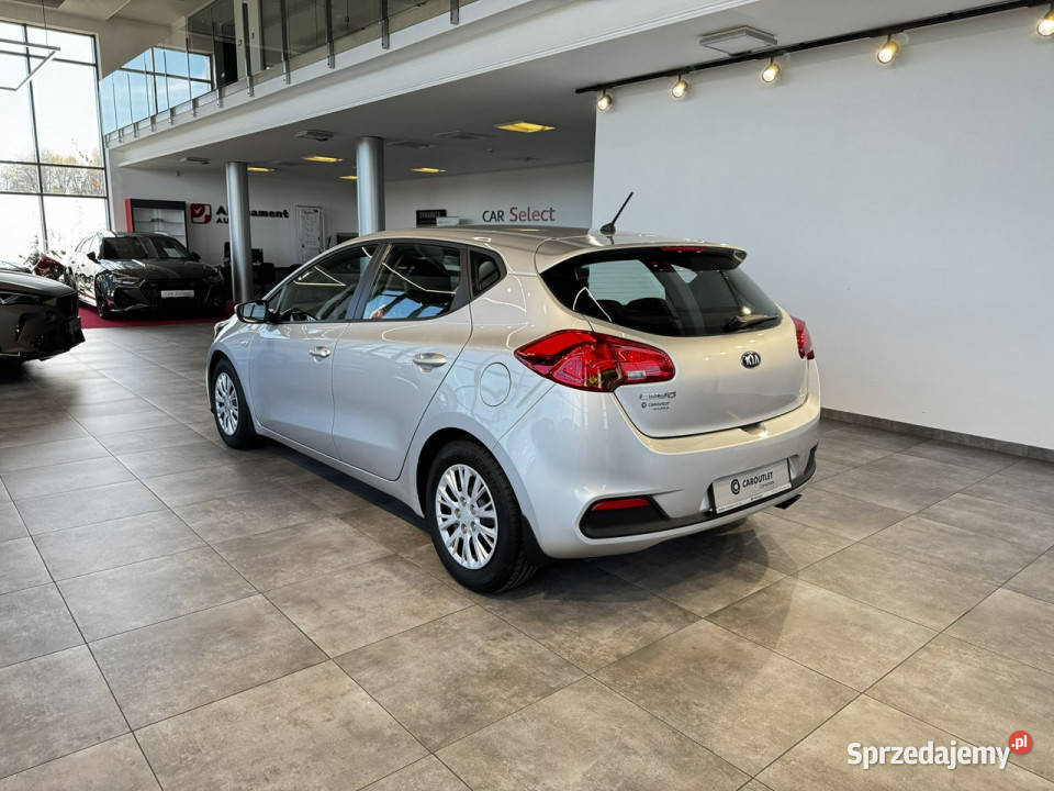 Kia Ceed 16GDI 135 M6 20142015 r salon fa VAT Kia Myślenice sprzedam