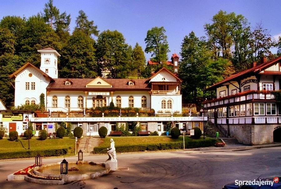 sprzedam działke w górach szczawnica jaworki małopolskie Jaworki