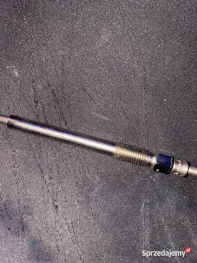 NOWE Świece żarowe 16tDci Lublin