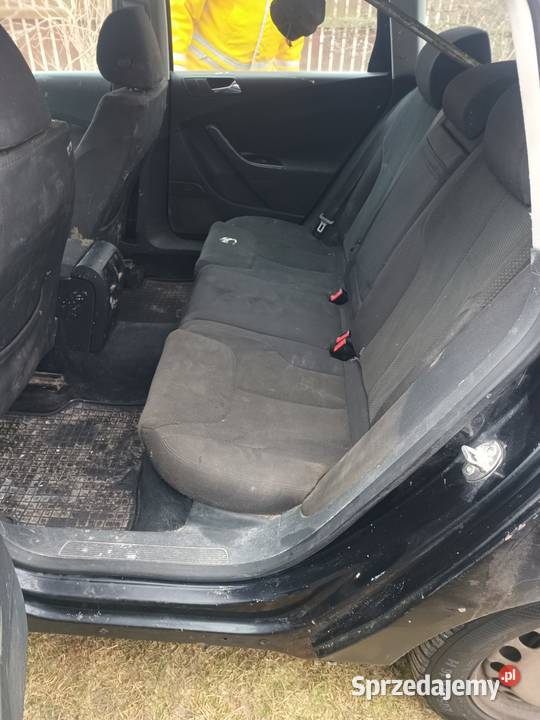 Tani wół roboczy Tarnawa Rzepińska