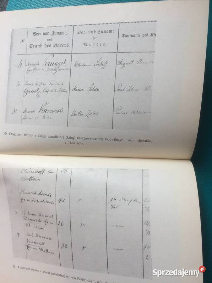 3495 Pomorze Zachodnie Nasz Język Dawniej I Szczecin