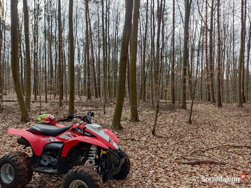 Polaris Trail Blazer 330 Szewce