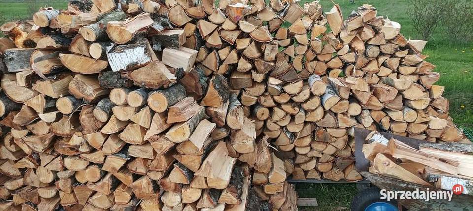 Drewno kominkowe drewno opałowe 692805945 Dąbrowa Górnicza