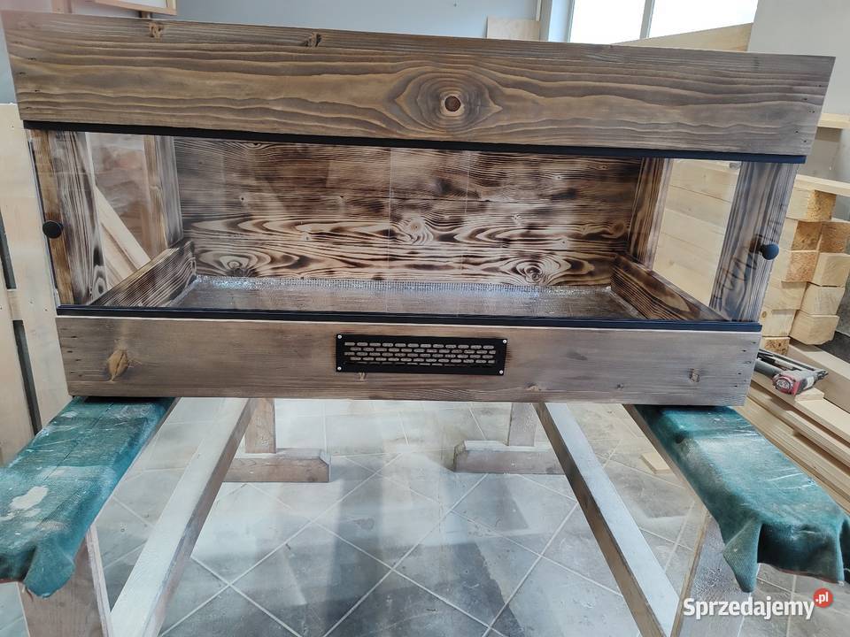 Promocja terrarium drewniane agama brodata gekon Zwierzęta