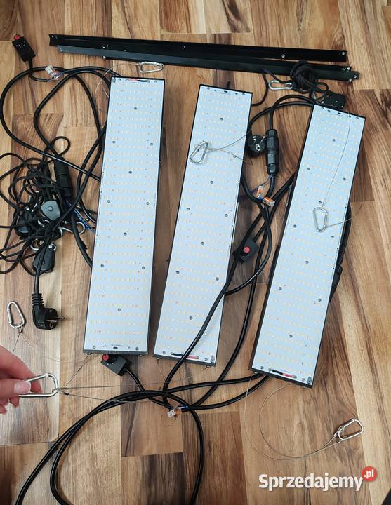 Lampa do uprawy roślin Lampy wiszące Barlinek