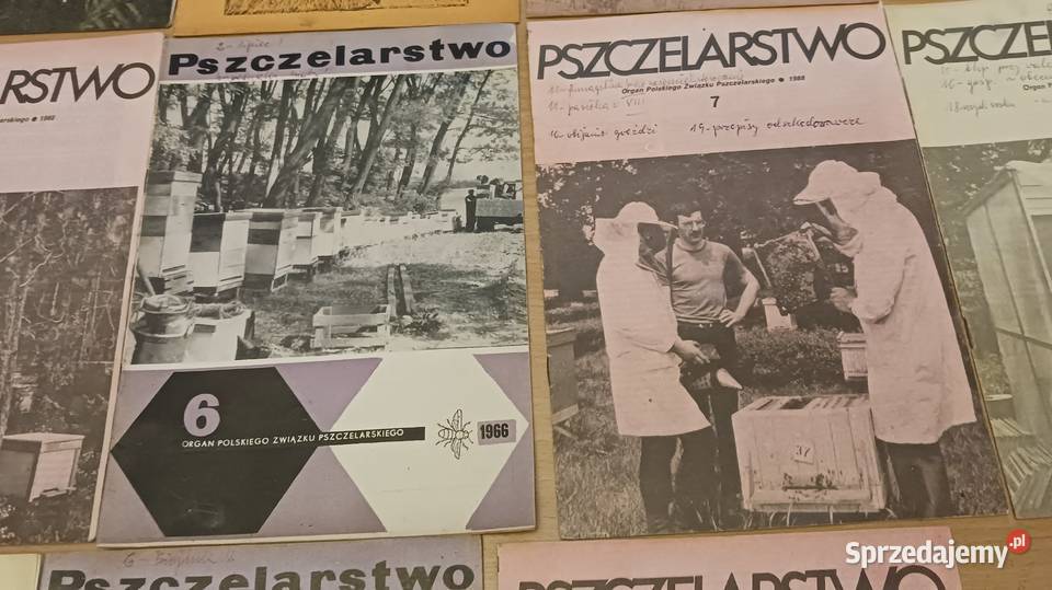Miesięcznik Pszczelarstwo Borów