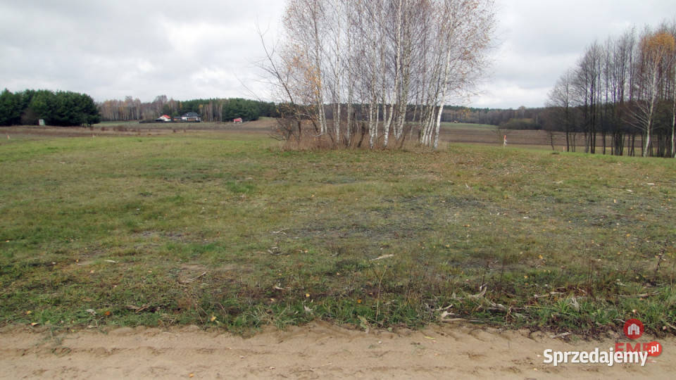 Grunt Tołcze 1000m2 Grunty i działki