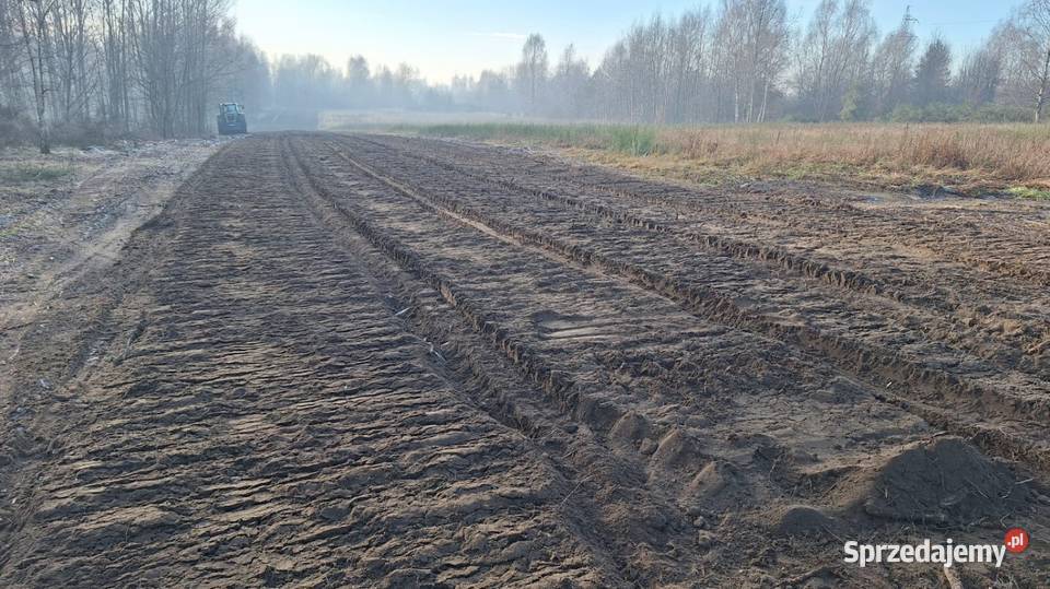 Wycinka drzew materiał Częstochowa