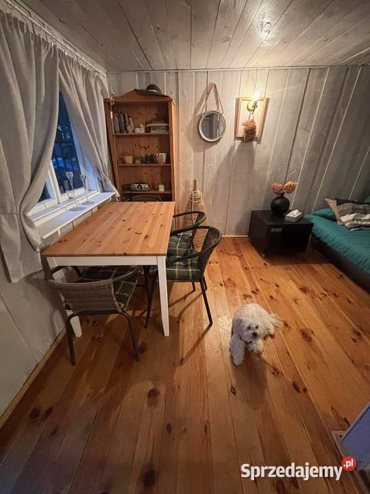 Działka ROD Cyklamen Warszawa