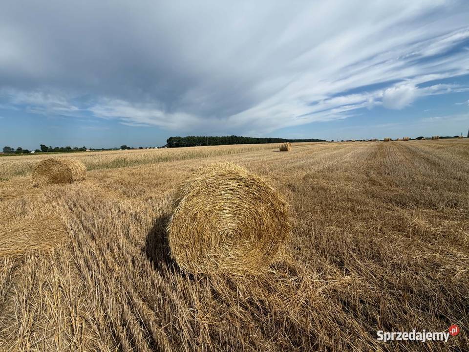 Sprzedam słomę w balach wielkopolskie Doruchów