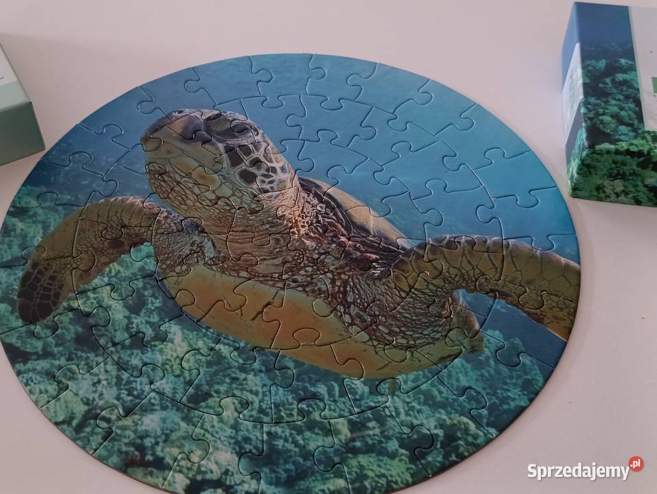 puzzle żółw morski Puzzle wielkopolskie Poznań