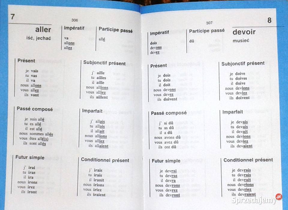 Słownik francuskopolski polskofrancuski Mini Pozostałe Chełm