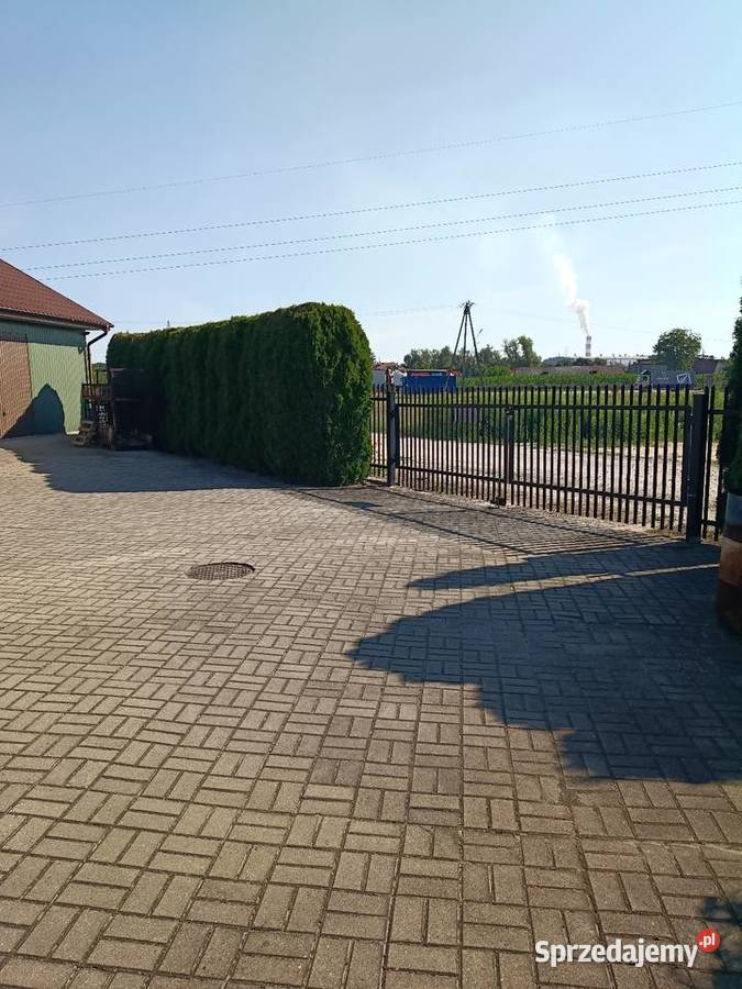 Budynek handlowo uslugowy Płock