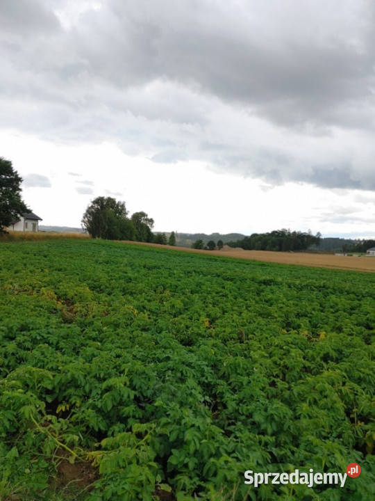 Działka budowlana Małkowo 856m2 pomorskie