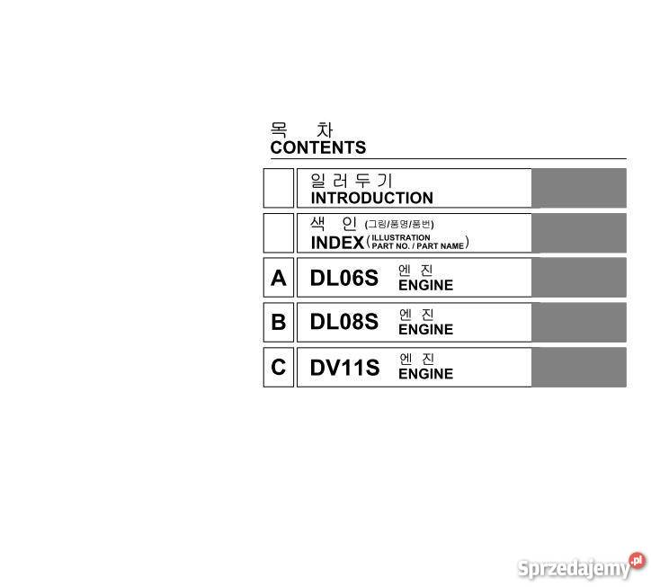 Daewoo SILNIK DL 06 S DL 08 S DV 11 S KATALOG świętokrzyskie
