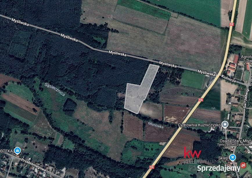 Sprzedam działka Kuźniczysko 20200m2 leśna