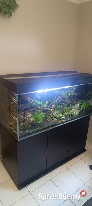 Akwarium 120x50x50 zestaw opti Zamarski