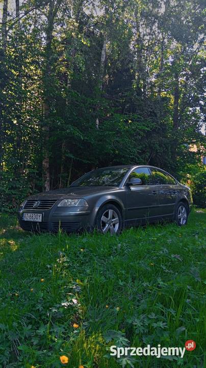 Volkswagen Passat B5 kupiony w Polsce Passat