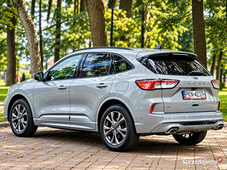 Ford Kuga III 2019 wielkopolskie Sadlno