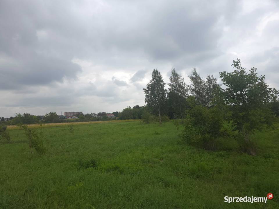 Konotopa 561m2 Inwestycyjna Sprzedaż