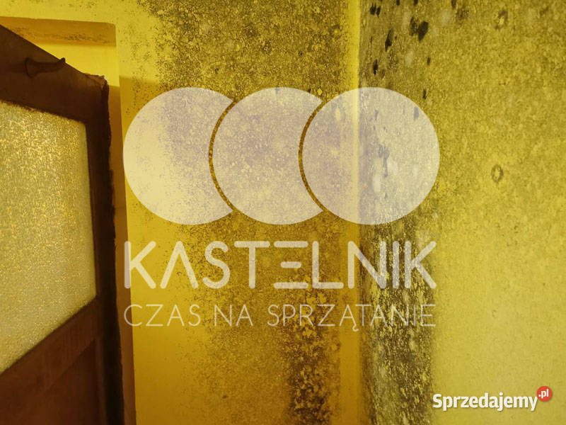 Odgrzybianie ścian Tuszyn Kastelnik Usuwanie