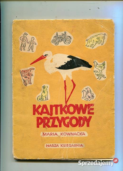 Kajtkowe przygody Kownacka Szczecin