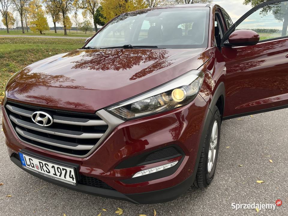 Hyundai Tucson 2016 Tucson Radzyń Podlaski