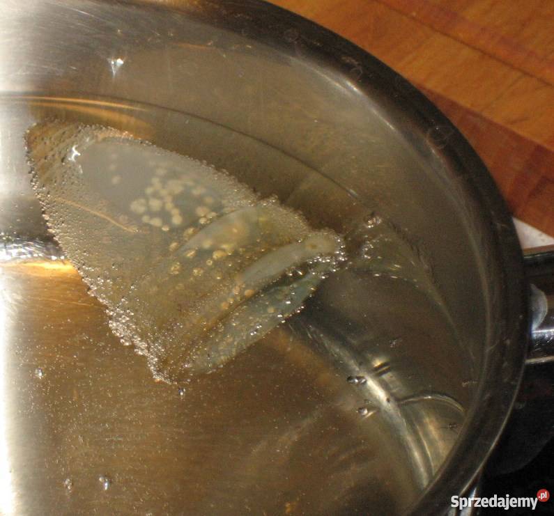 Silikonowy kubeczek menstruacyjny marki Dothnia Warszawa