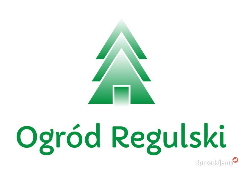 Różanecznik Rododendron Rhododendron różne