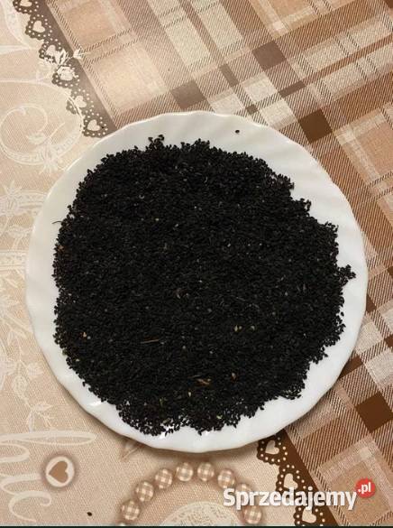Czarnuszka Polska 1 Wysyłka Nowy Staw