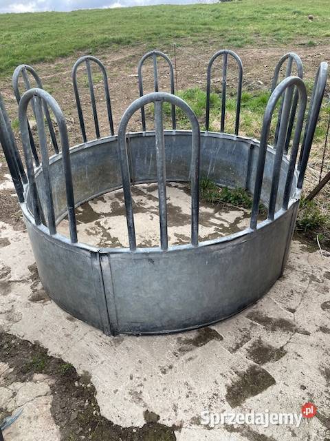 Paśnik do bydła krów koni Hodowla bydła Mrągowo