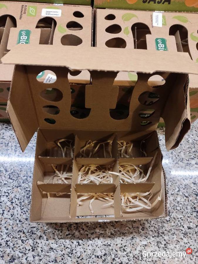 Opakowania wytłaczanki kartonowe na opolskie Głuchołazy sprzedam