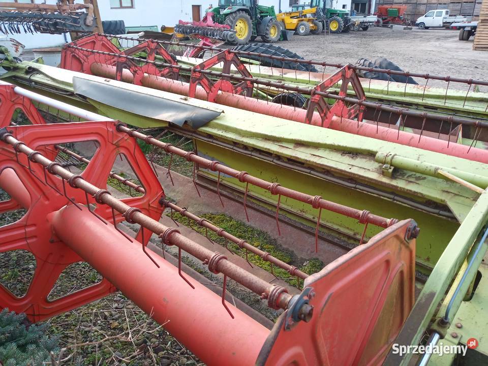 Claas Dominator Lexion stół do rzepaku 6 m Claas