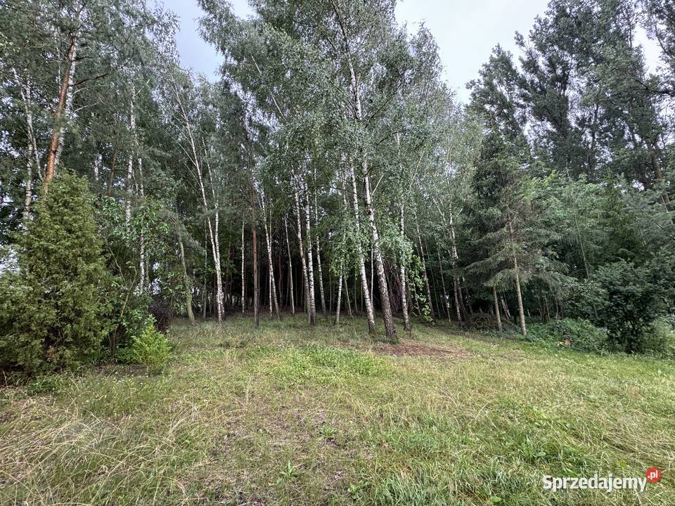 DZIAŁKA REKREACYJNA 5000 m SMOLEŃPOLUBY WŁASNY Borkowo-Falenta