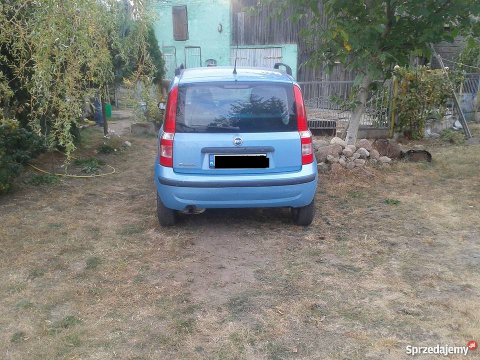 Fiat Panda AUTOMAT Parktronic Klimatyzacja niebieski Konin sprzedam
