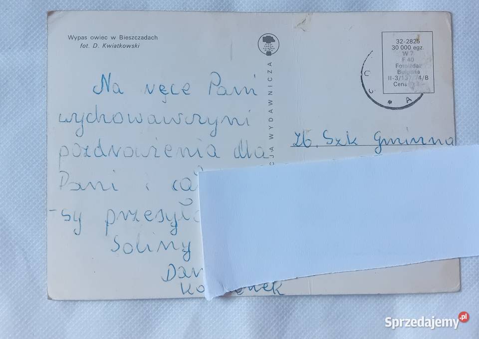 Pocztówka Wypas owiec w Bieszczadach KAW 1974 r Koźminek