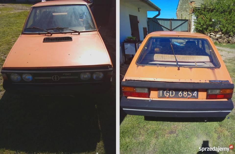 Polonez Borewicz POLSKI KLASYK Koszyce