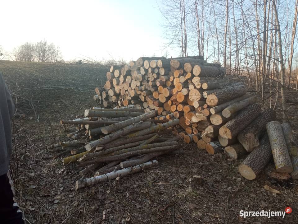 Drzewo opałowe liściaste Mrągowo