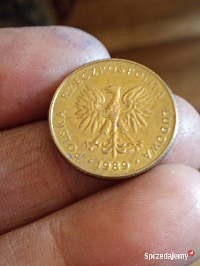 sprzedam monete 10 zloty 1989 r proba Chełm sprzedam