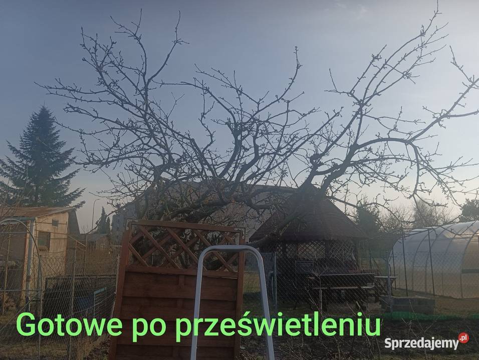 Dowóz na zabiegi do szpitala